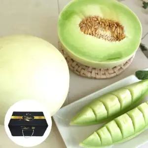 미국산 고당도 허니듀 메론 선물세트 2수 (개당 2kg 내외)