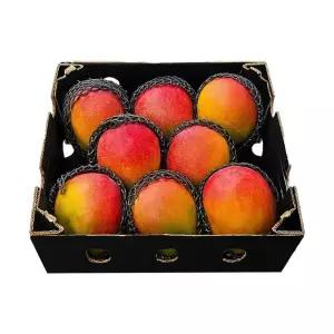 [T쇼페] [지정일발송] 브라질 최상급 애플망고 4kg (7-10과) 대용량 선물용