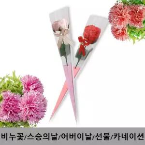 어버이날선물/스승의날선물/장미꽃/홍보용/장미/카네이션 카네이션 (서기몰)