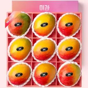 [프리미엄 과일선물 미과][Red Garden] 프리미엄 과일선물세트 레드가든 애플망고 특대과 9입(4kg)