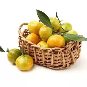 [하프클럽/작심밀도]제주직송 하우스 감귤 로얄과 4.5kg / 정품