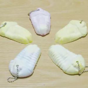 석고 삼엽충 화석만들기(5인)/과학실험 학습교구