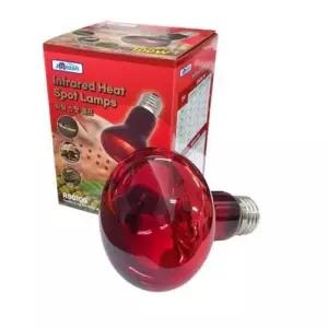 아마존 히팅 스팟 램프 100W haB70D4 기타반려동물용품 생활