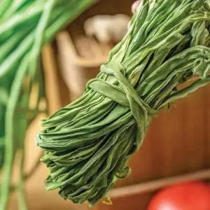 올바이 궁채 500g(500gx1팩) 특A급 마른 줄기상추 궁채나물