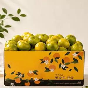 [하프클럽/]행복 제주 햇 감귤 4.5kg 로열과