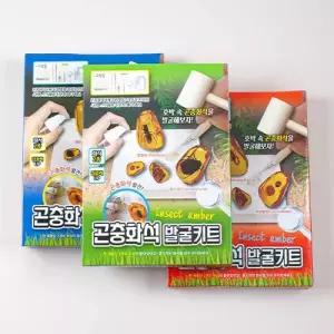 화석발굴키트 실험 발굴 과학 화석 어린이 곤충 곤충화석발굴 키트