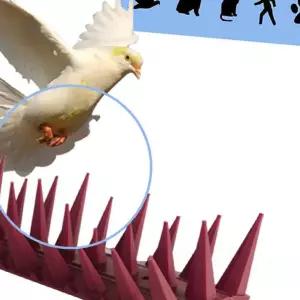 (올핀)비둘기퇴치핀 버드스파이크 아파트 실외기 새쫓는기구