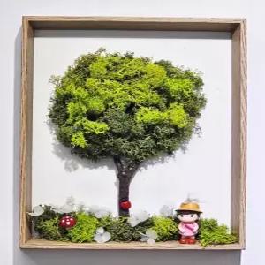 스칸디아모스 액자 만들기 DIY 이끼 공기정화식물 실내인테리어 핸드메이드