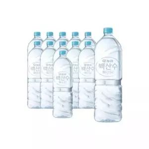 백산수 무라벨 2L 12개