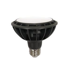 장수 LED PAR30 15W (확산형)