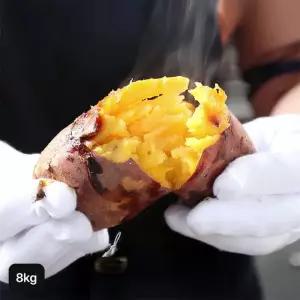 26년 햇 특등급 해남 호박고구마 4kg+4kg (총 8kg)