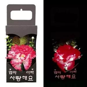 종이상자 광섬유LED 선물 스승의날 만들기 선물 감사 카네이션 상자 어버이날