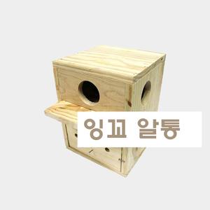 앵무새 알통 잉꼬 유리앵무 소형새 (새용품)