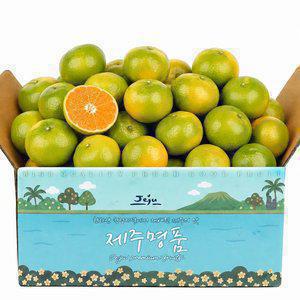 [26년 첫출하] 제주 서귀포 햇 조생감귤 4.5kg 로얄과(2S-M)