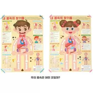 내몸속 장기들 학습x꾸미기 인체교구 페이퍼 5세트 북아트