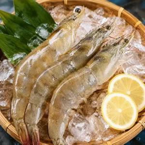 국내산 활 흰다리새우 제철 횟감 당일조업 500g 1kg