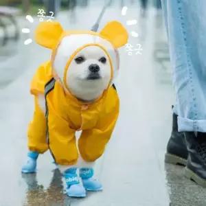 친절한탄씨 잔솔 강아지 우비 레인코트 애견 판초 올인원 망토 잔솔 강아지 애견 판초 올인원