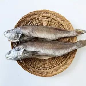 국내산 반건조 통민어 2미(1미당 280g-300g내외)