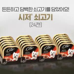 사료 캔 시저 애견 소고기 100g 24개 cesar wet dog food