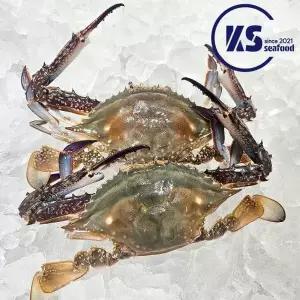 당일조업 연평도 숫꽃게 가을 제철 활꽃게 3kg 9~12미 대중 빙장포장
