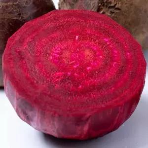 레드비트 10kg