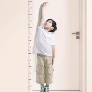 키측정 스티커 눈금자 시트지 200cm 아이 신장계 키재기 키측정
