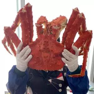 러시아 레드 킹크랩 3.5kg 1미(자숙전중량) 러시아 킹크랩 자숙 킹크랩 레드