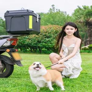 반려동물 오토바이탑박스 테일박스 이동장 바이크 박스 대용량 가방 적재함 리어백 범용 수납