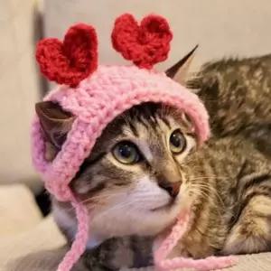 고양이 하트 모자 뜨개질 용품 악세사리 악세서리 패션 강아지 털모자 애견