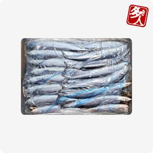 다인 냉동 꽁치 2L 1번 실중량 약 9kg 생선 구이 조림 업소용 (A급/대만/바누아투)