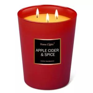 HomeLights 천연 소이 아로마테라피 양초 944g 32oz 사이다 스파이스