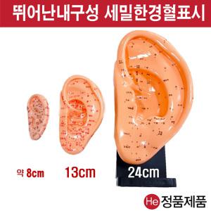 귀경혈모형 소 8cm 2002ZY 추가옵션(중 13cm/대 24cm) 경혈모형 침술인형 수지침 혈자리 지압봉 요골 척골