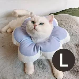 목보호대 반려동물 넥카라 L 중성화 수술후 피부보호 스트레스 없이