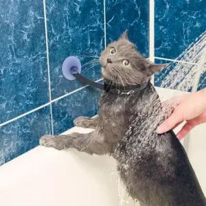 강아지 목줄 목욕줄 미용 리쉬줄 고양이