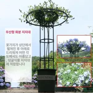 장미 넝쿨 지지대 야외 포도나무 트렐리스 대형 가든