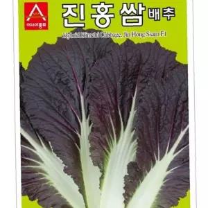 유어샵 적색 씨앗 종자 모종 종묘 가지 100립 진홍쌈 쌈배추