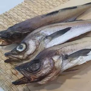 서치22 반건조 반건조코다리 말린생선 코다리 4마리 손질 말린 명태 서치생활 일상