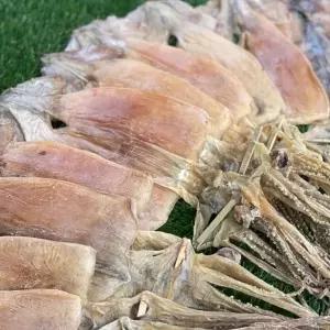 동해 햇 마른오징어(대) 750g 건어물 마른안주
