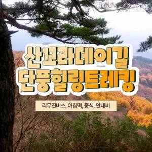[강원] 리무진버스 - 영월 산꼬라데이길 가을 단풍 힐링 트래킹(중식포함) 당일