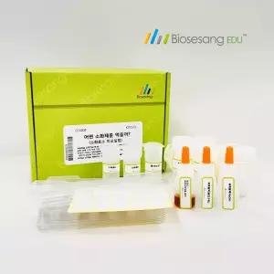 ED3008 어떤 소화제를 먹을까 (소화효소 비교실험) (5인KIT)