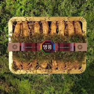 금산인삼 수삼선물용(바구니5호)원수삼 특대 2채(1.5kg)  14~16뿌리