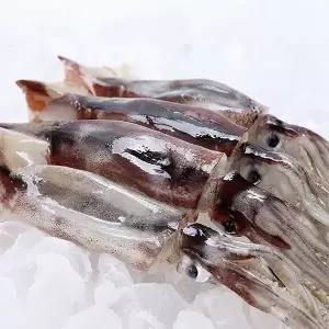 국내산 동해안 자연산 급냉 활오징어 5미 2팩