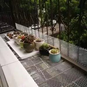 화이트 플라스틱메쉬망 뱀차단 x 그물망 50cm 구멍3mm 안전 울타리