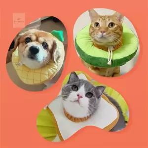 강아지 고양이 콘 칼라 소형견넥카라 애카라 경량목쿠션 카라 대형 깔대기 목S 보호대 중형 반려동물 개카
