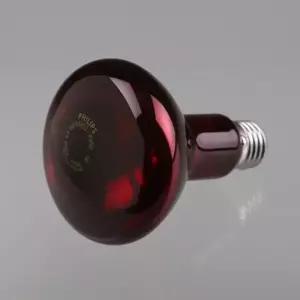 적외선 IR램프 필립스 100W 열램프 아영 온 전구 히터