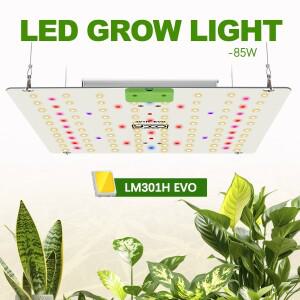 LM301h EVO 85W 180W 디밍 가능 식워터 생장등  성장 및 개화 촉진  우수한 열 방출 기능