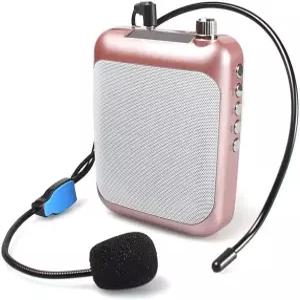 교사와 여행 가이드를 위한 FM 기능이 탑재된 음성 증폭기 메가폰 부스터 마이크 휴대용 스피커 전문