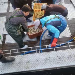 동해 활 골뱅이 1kg