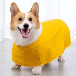 (별별창고)G 강아지 우비 레인코트 소형견 중형견