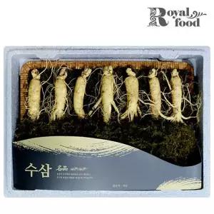 [NS홈쇼핑]금산 수삼세트(품격)[36176128]